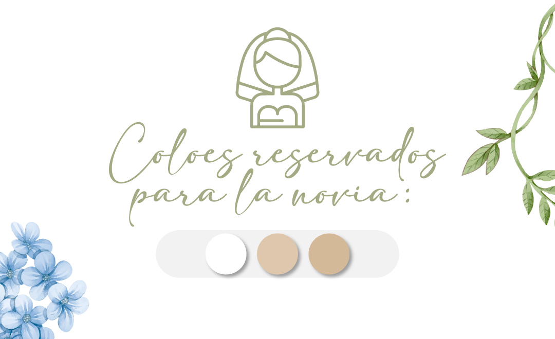 Sección 6